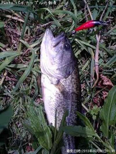 �֥�å��Х�