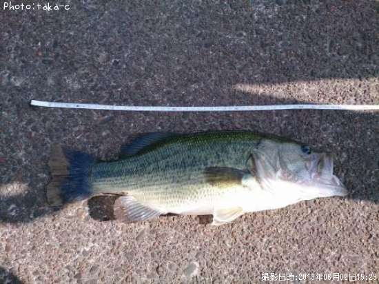 �֥�å��Х�