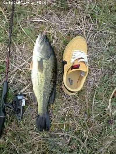 �֥�å��Х�