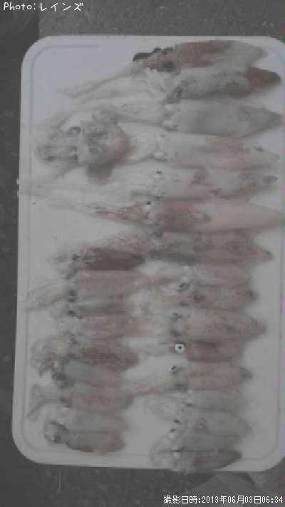 ��ꥤ�����ҥ������ߥߥ���