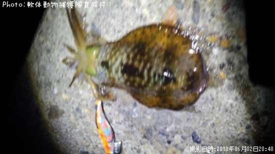 �����ꥤ��