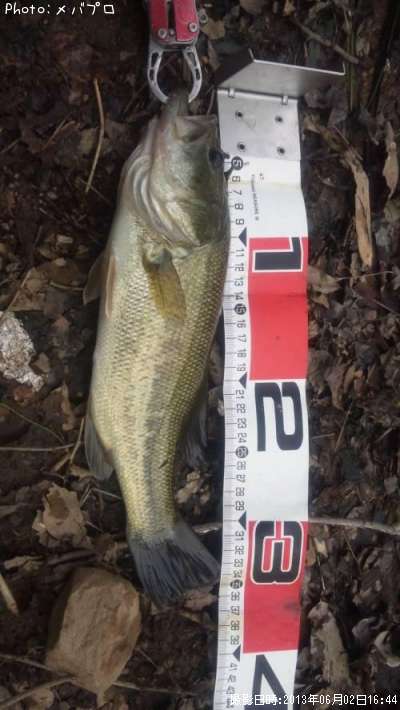 �֥�å��Х�