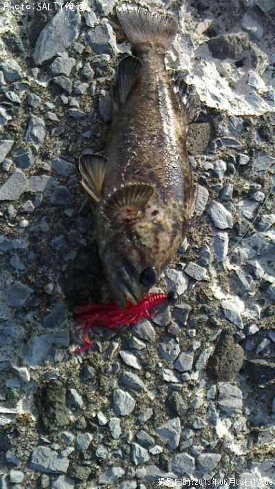 �����Υ���Х�