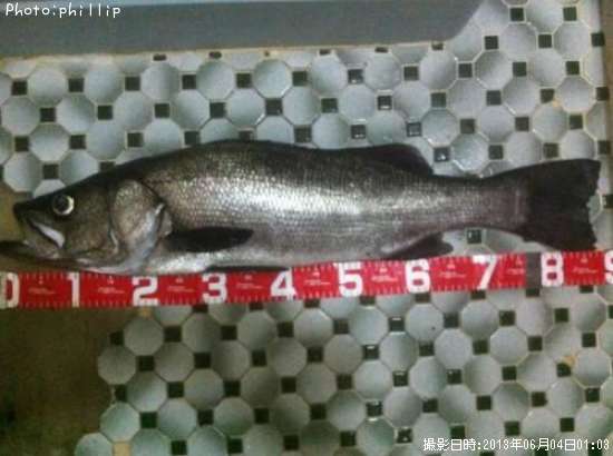 �����Х�