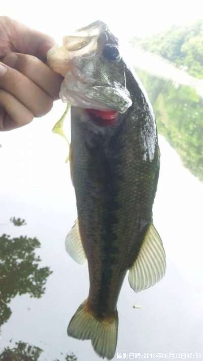 �֥�å��Х�