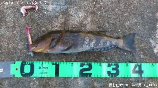 �����ʥ�