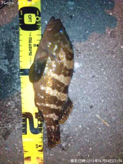 �����ϥ�