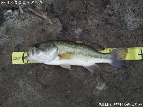 �֥�å��Х�