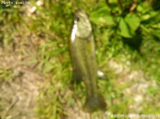 �֥�å��Х�