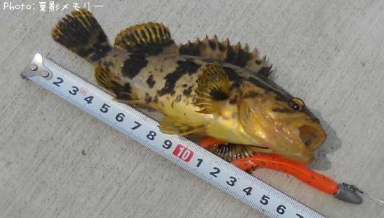 �����Υ�