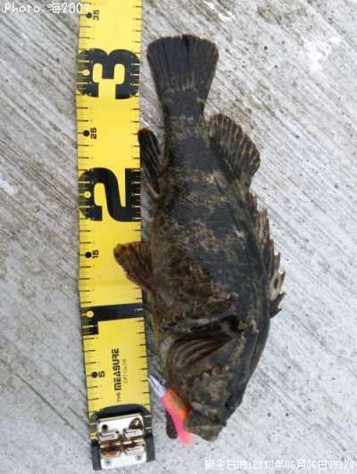 �٥å�������