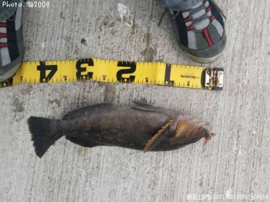 �����ʥ�