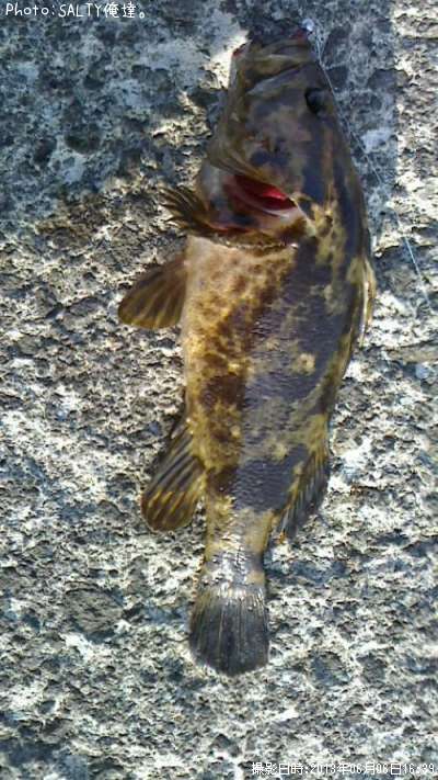 �����Υ���Х�