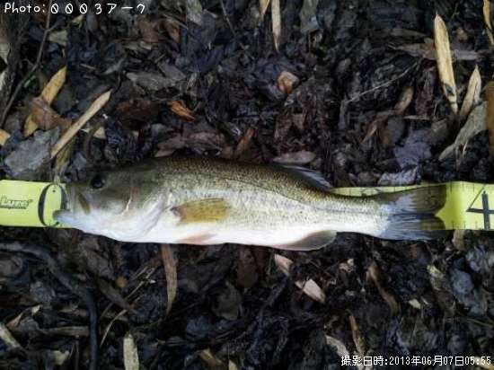 �֥�å��Х�