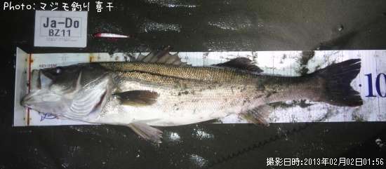 �����Х�