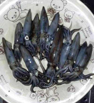 �ҥ�����������ꥤ��