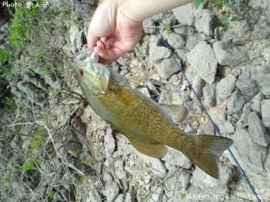 ���⡼��ޥ����Х�