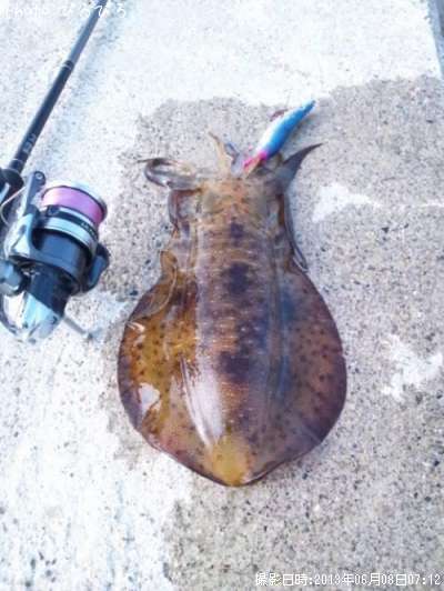 �����ꥤ��