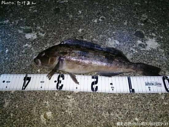 �����ʥ�