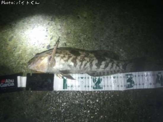 �����ʥ�