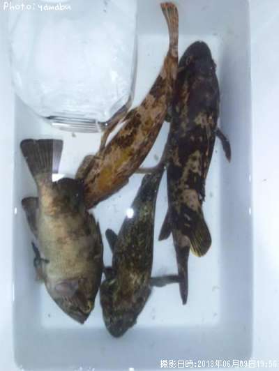 �����Υ���Х롦��饽��