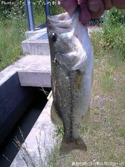 �֥�å��Х�