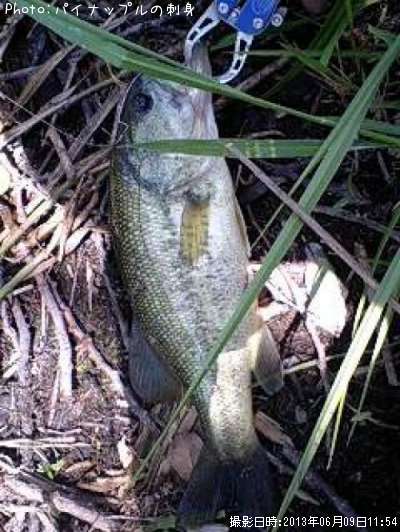 �֥�å��Х�