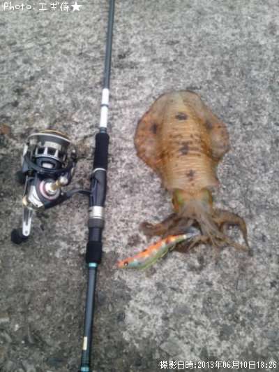 �����ꥤ��