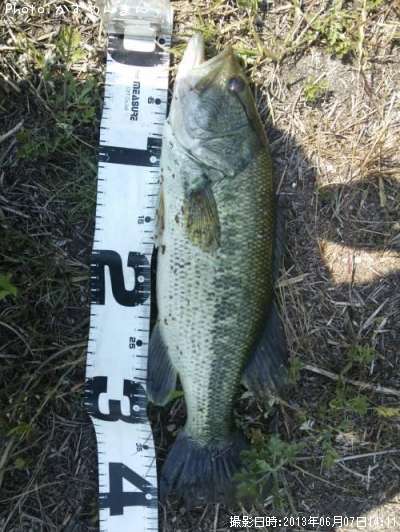 �֥�å��Х�