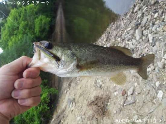 �֥�å��Х�