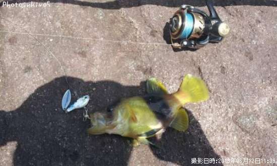 ���ϥå���