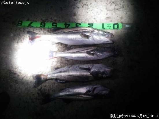 �����Х�