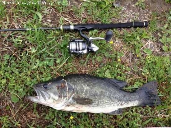 �֥�å��Х�