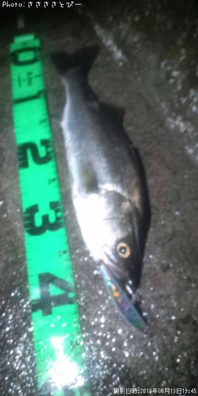 �����Х�������