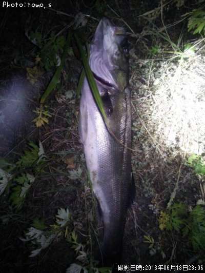 �����Х��ʥեå���