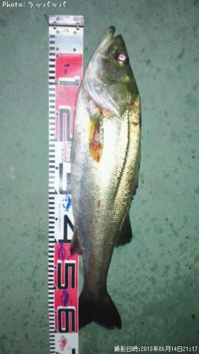 �����Х�