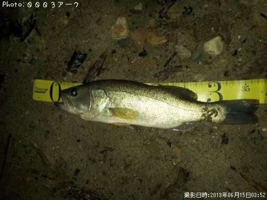 �֥�å��Х�