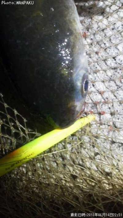 �ܥ�