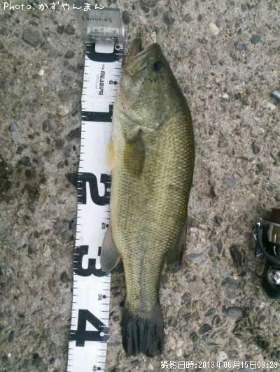 �֥�å��Х�