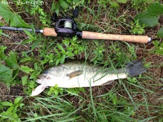 �֥�å��Х�