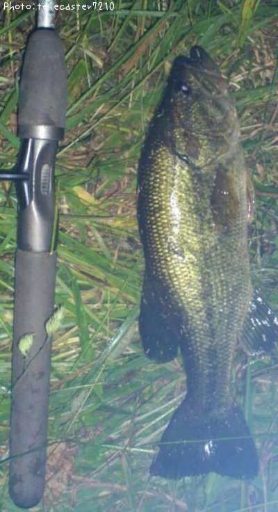 �֥�å��Х�