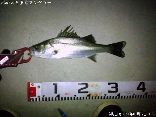 �����Х�