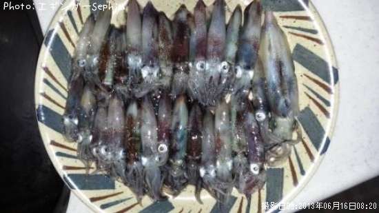 �ҥ�������ꥤ��