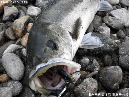 �����Х�