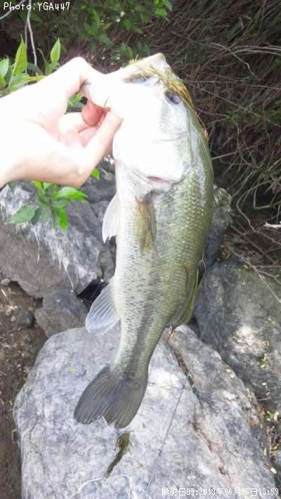 �֥�å��Х�