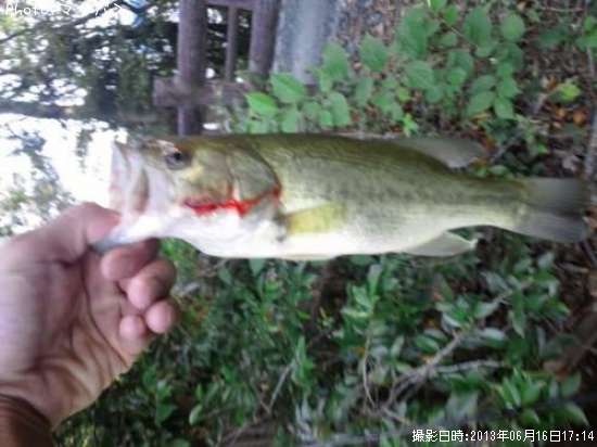 �֥�å��Х�