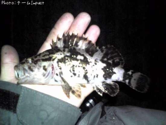 �����Υ���Х�