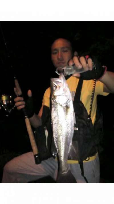 �����Х�