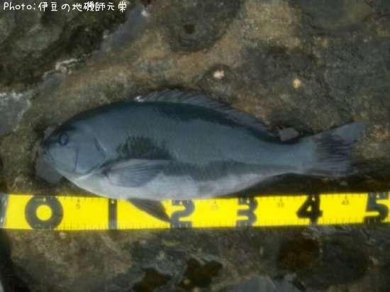 �����᥸��