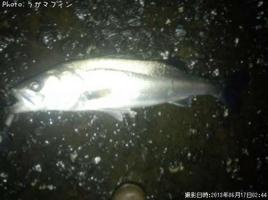 �����Х�